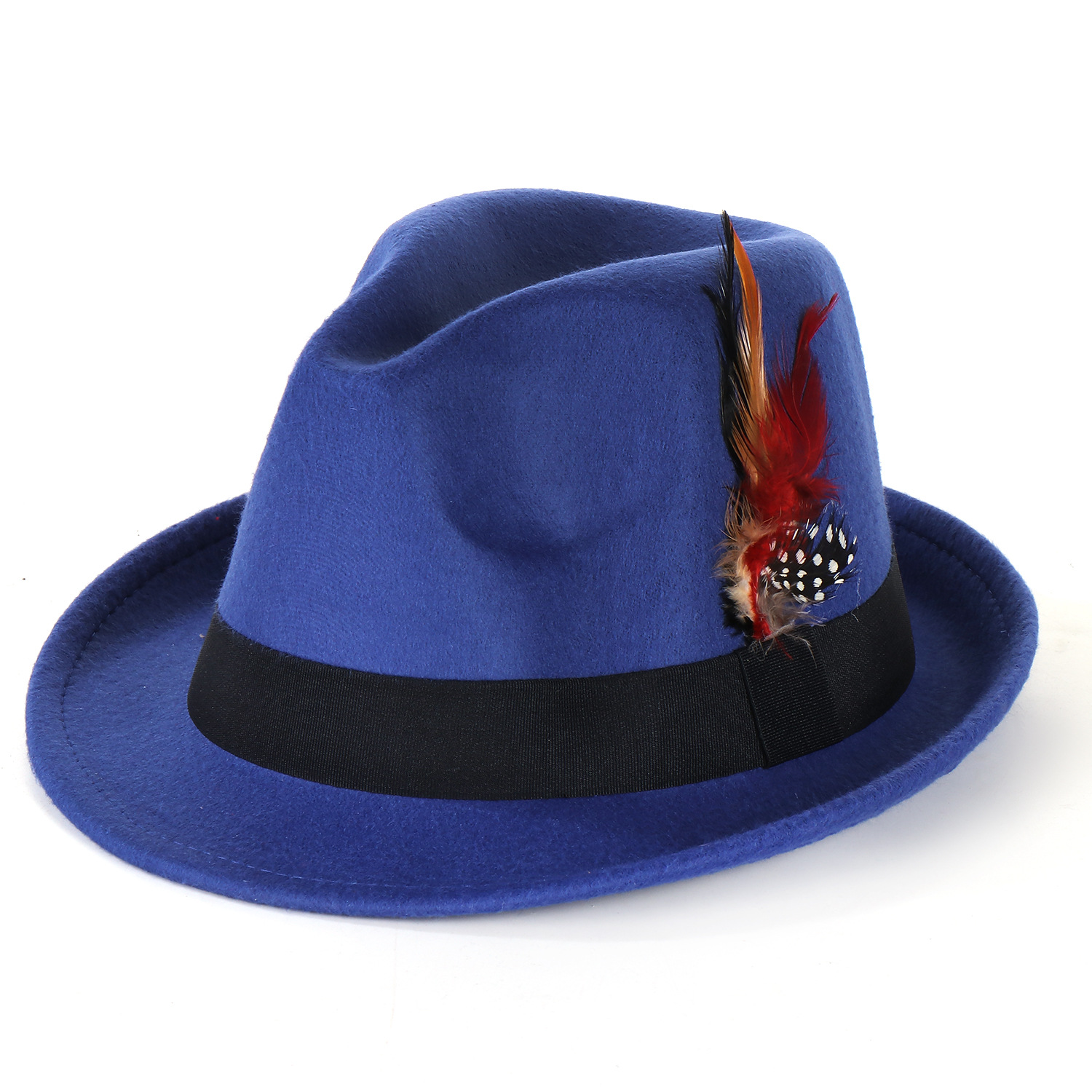 Fashion Men's And Women's Woolen Feather Hat