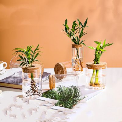 Creative Minimalist Handmade Hydroponic Glass Vase