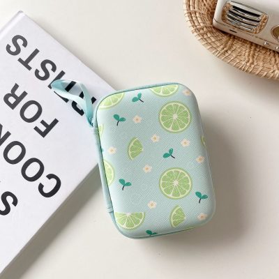Cartoon Fruit Rectangle Earphone Organizer Bag Large Size