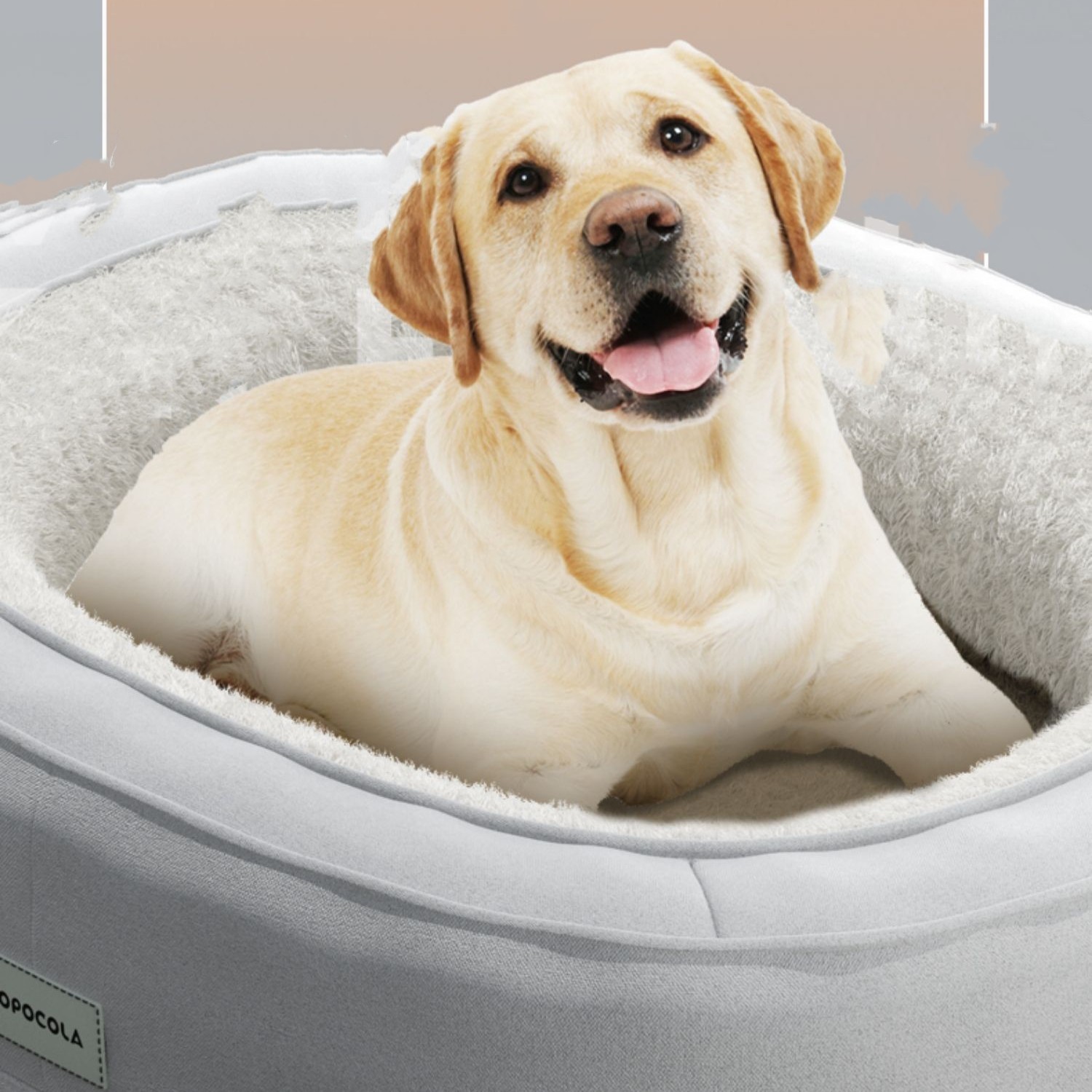 Thickened Kennel Can Be Removed And Washed