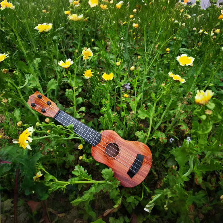 Musical Instruments Can Play Beginner Music Toys